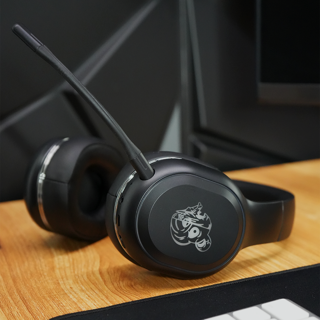 HYBERNATION 5c  / HYBRID HEADPHONES (WIRELESS)